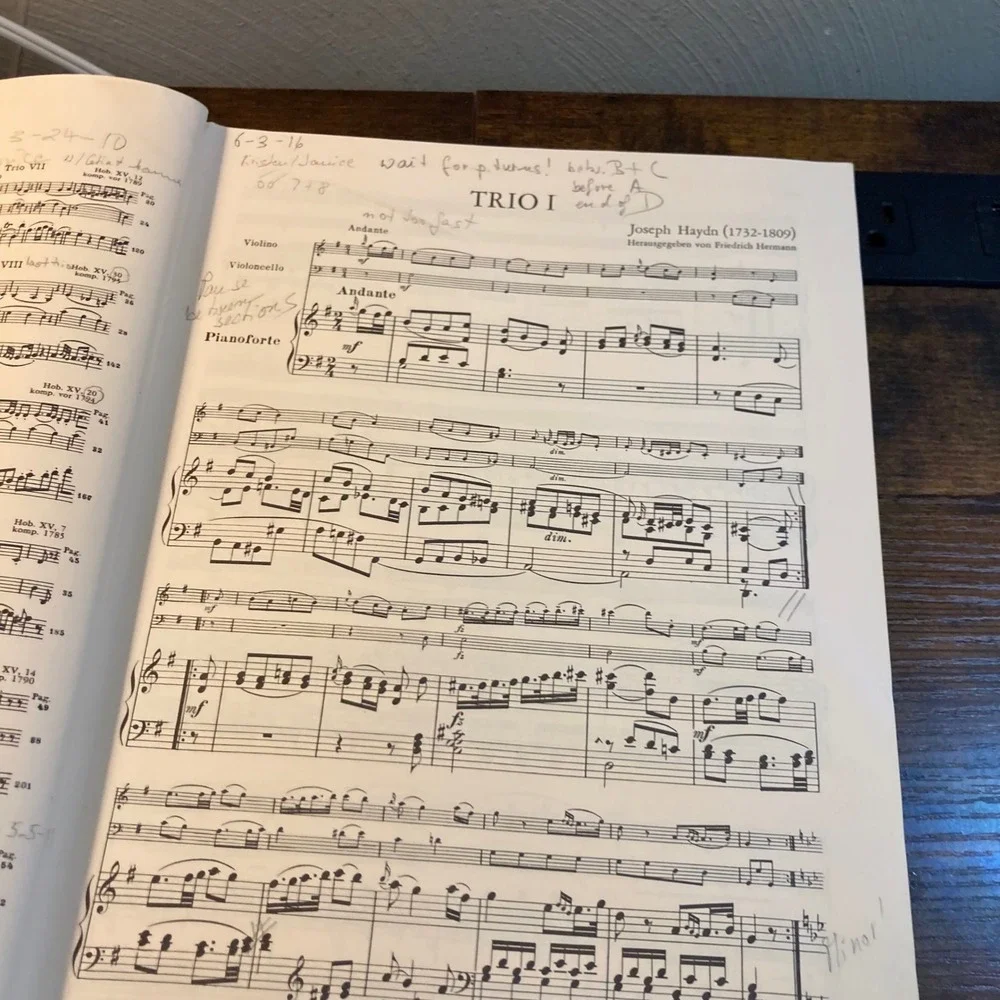 Haydn Trios Band I Piano Violin Cello Sheet Music Edition Peters Nr 192a Vintage